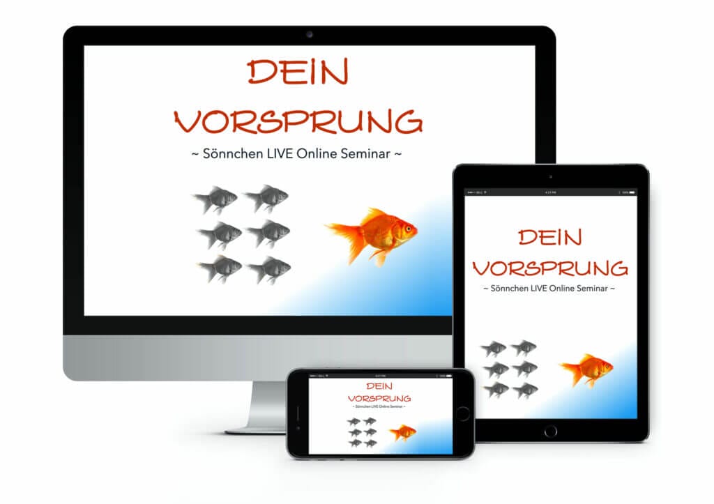 dein vorsprung-online