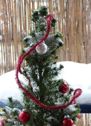 weihnachten2012 - Fröhliche Weihnachten! :-)