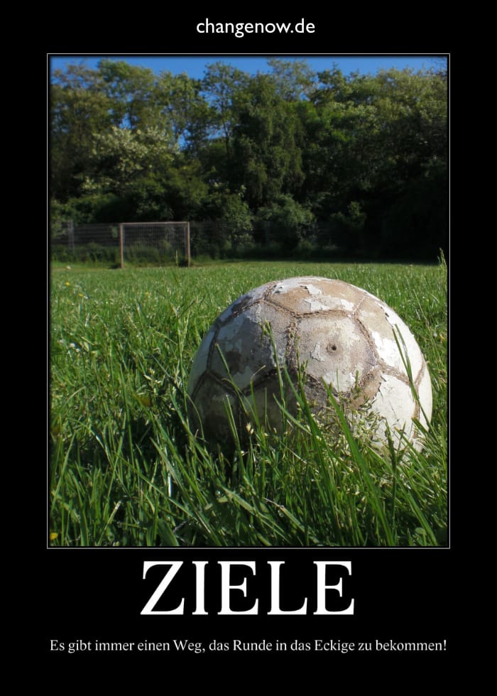 Ziele Erreichen